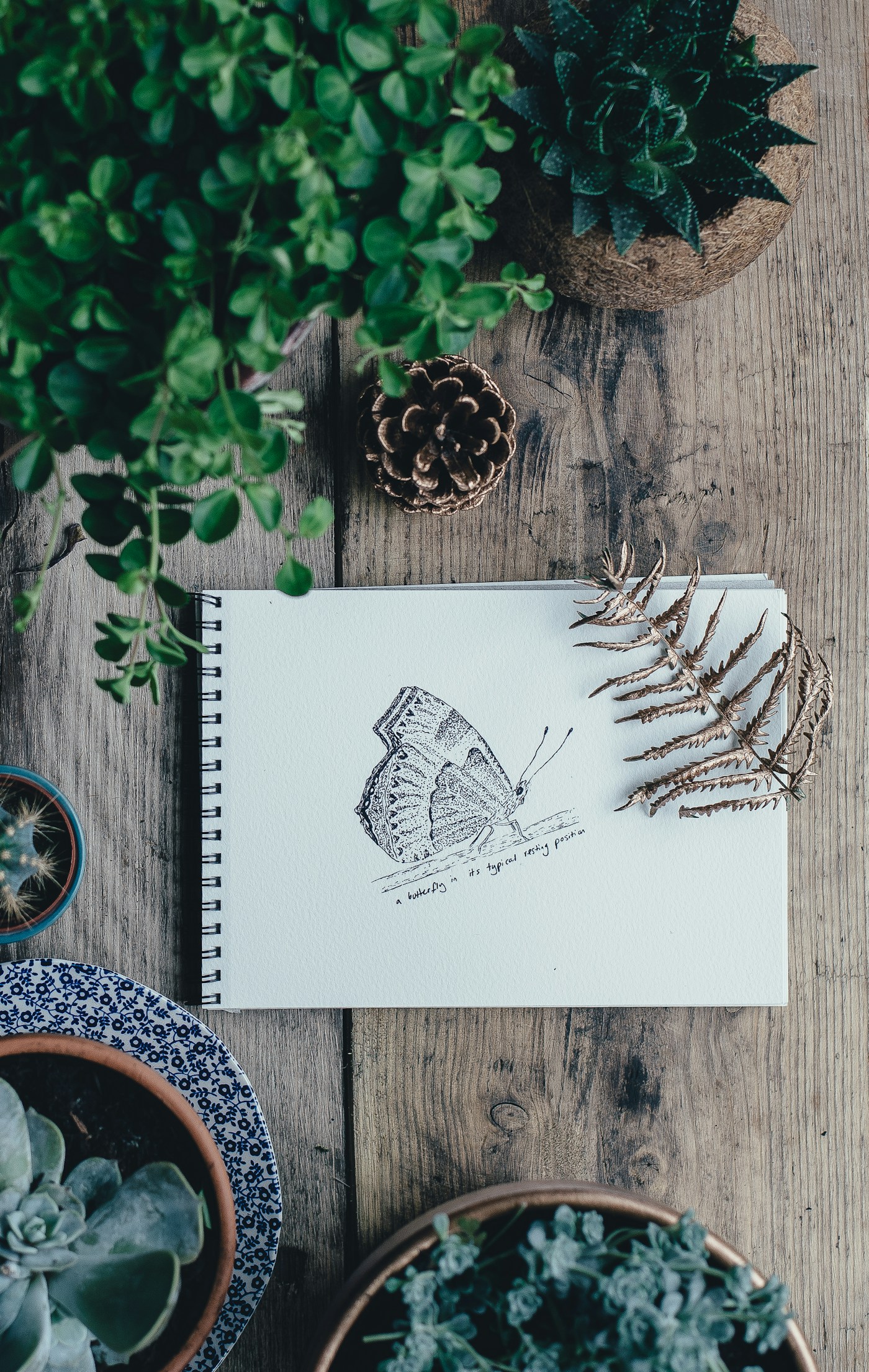 An open sketchbook with a butterfly drawing and art supplies